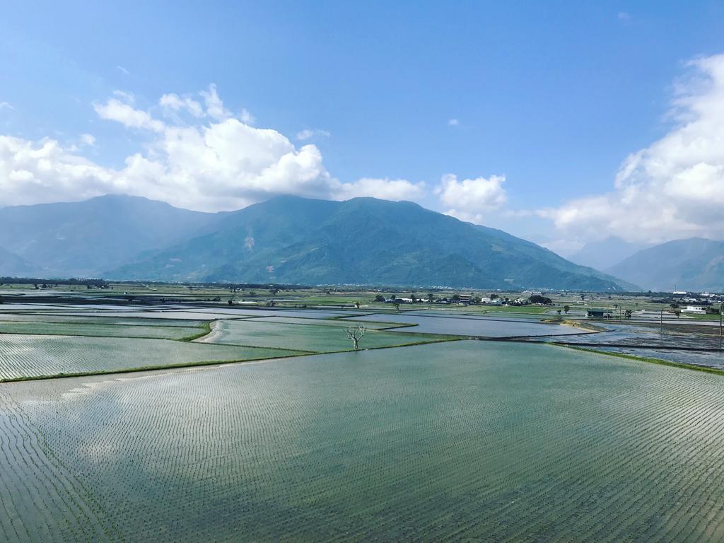 玉蟾園民宿 寵物友善 Yuchanyuan B&B Chishang Exteriör bild